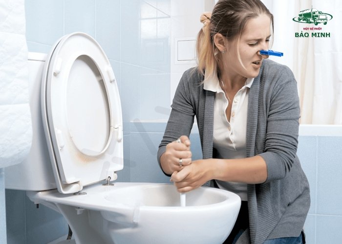 Chế độ bảo hành và hỗ trợ khách hàng