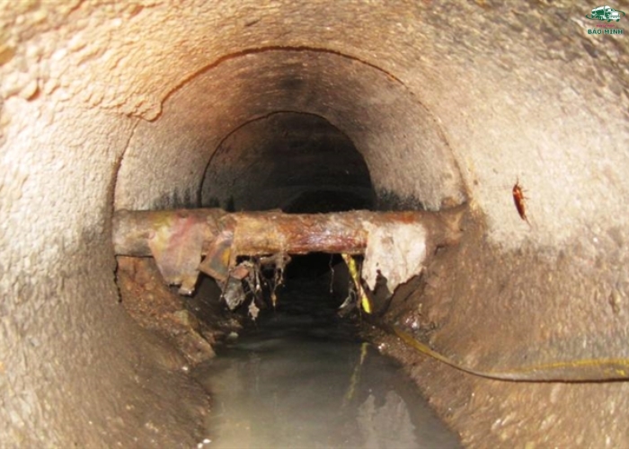 thong cong nghet tai son la (3) thong cong nghet tai son la (3)