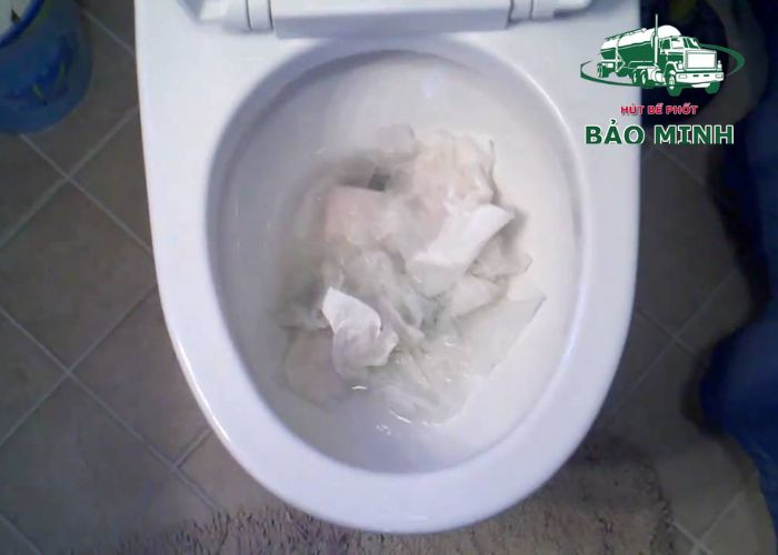 thông bồn cầu đà lạt (1) thông bồn cầu đà lạt (1)