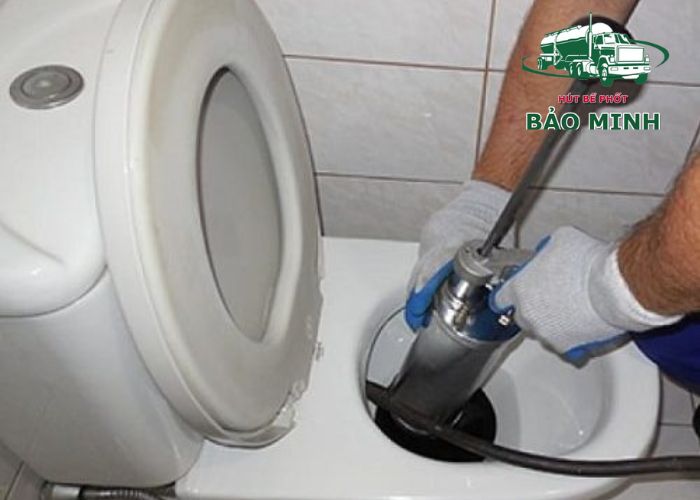 thông bồn cầu đà lạt (3) thông bồn cầu đà lạt (3)