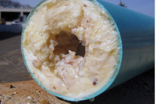 cống tắc nghẽn do dầu mỡ