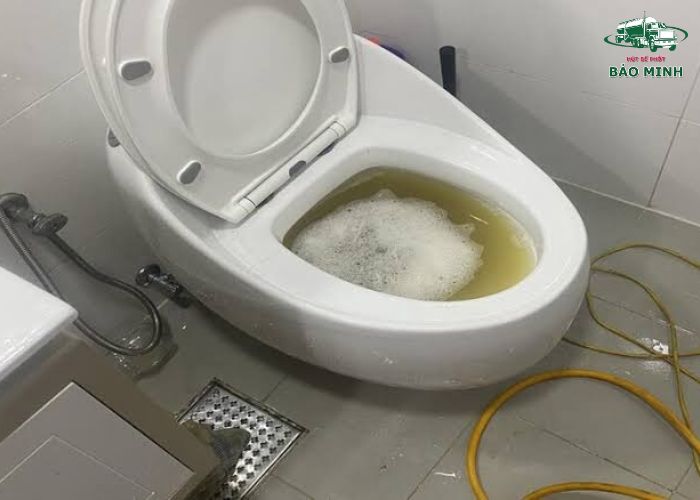 Bồn cầu xả nước không trôi (2)