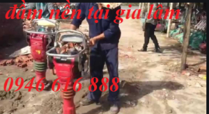 đầm nền tại gai lâm