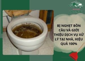 Bị nghẹt bồn cầu
