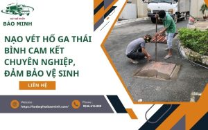 nao vet ho ga thai binh