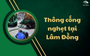Thông cống nghẹt tại Lâm Đồng