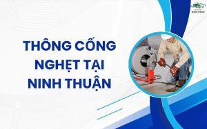Thông cống nghẹt tại Ninh Thuận