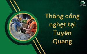 Thông cống nghẹt tại Tuyên Quang