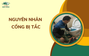 Nguyên nhân cống bị tắc