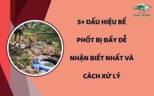 Dấu hiệu bể phốt bị đầy
