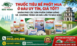 Thuốc tiêu bể phốt mua ở đâu