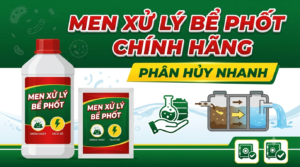 Men xử lý bể phốt