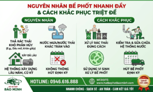 Nguyên nhân bể phốt nhanh đầy & cách khắc phục triệt để